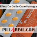 Effets De Gelée Orale Kamagra 43